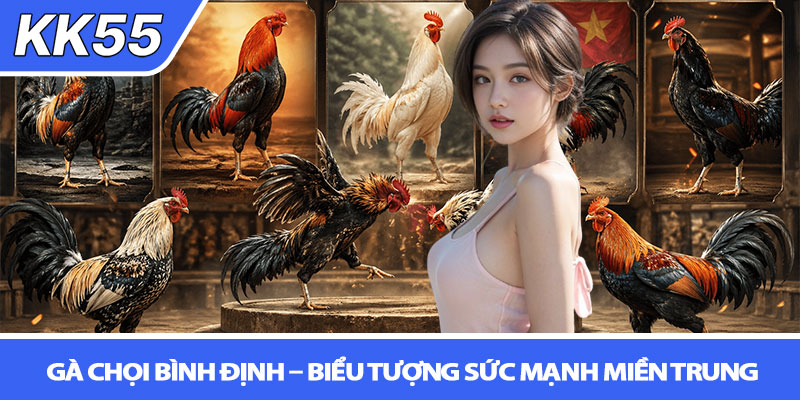 Các giống gà chọi nổi tiếng Việt Nam - Tinh hoa kê chiến 2 Gà chọi Bình Định – Biểu tượng sức mạnh miền Trung