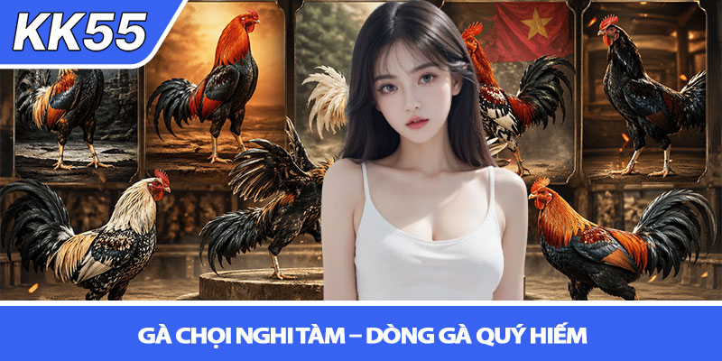 Các giống gà chọi nổi tiếng Việt Nam - Tinh hoa kê chiến 3 Gà chọi Nghi Tàm – Dòng gà quý hiếm