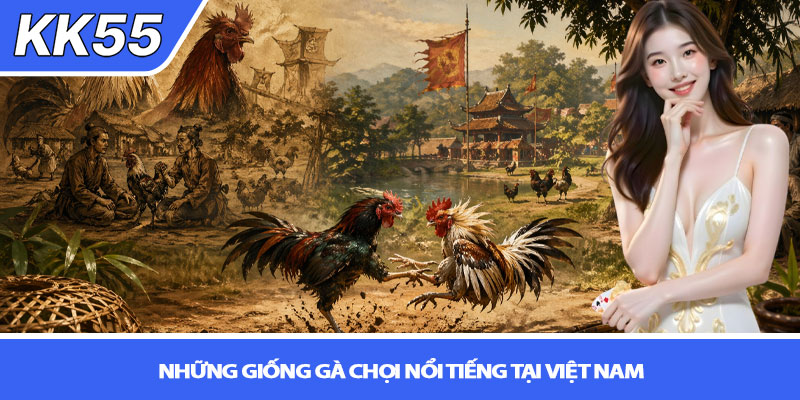 Lịch sử gà chọi Việt Nam - Hành trình văn hóa đậm chất KK55 3 Những giống gà chọi nổi tiếng tại Việt Nam