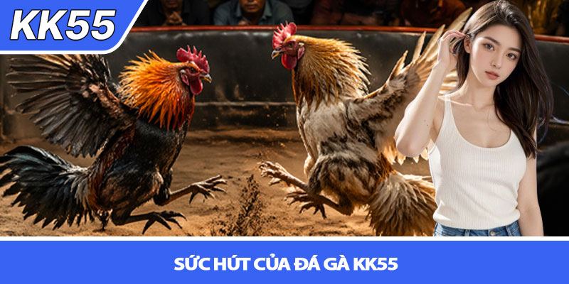 Đá gà KK55 - Trải nghiệm cá cược đỉnh cao 2 Sức hút của Đá gà KK55