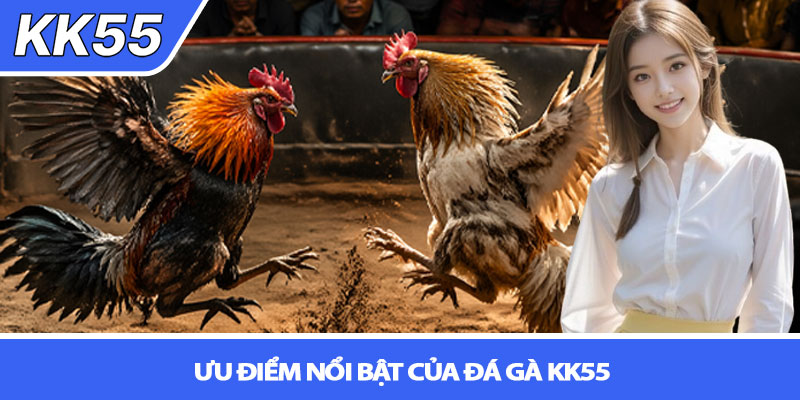 Đá gà KK55 - Trải nghiệm cá cược đỉnh cao 4 Ưu điểm nổi bật của đá gà KK55